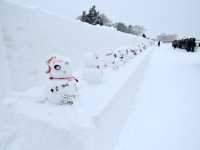 🇯🇵 北海道旭川冬祭 真的好大型好壯觀❄️
