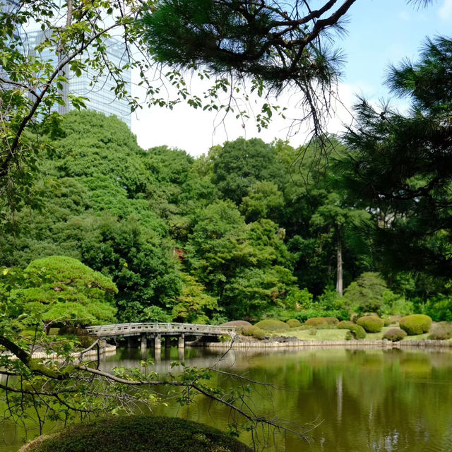 日本皇室的花園🌸🏯皇居東御苑