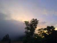 Embrace the Euphoria of Morning Fog 