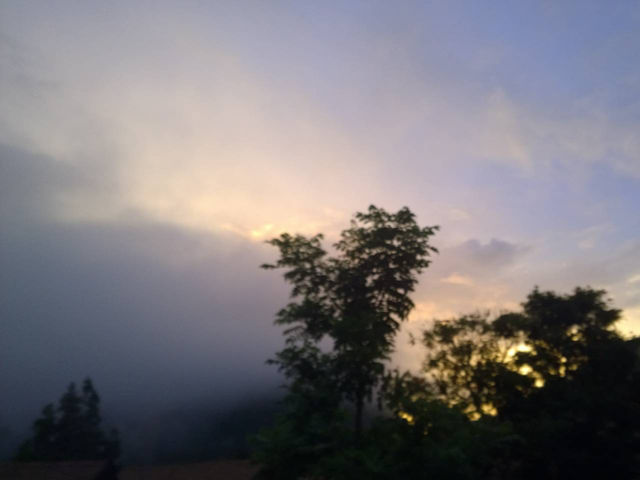 Embrace the Euphoria of Morning Fog 