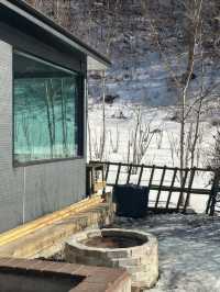 강아지와 함께 겨울 여행은 평창으로 가세요❄️