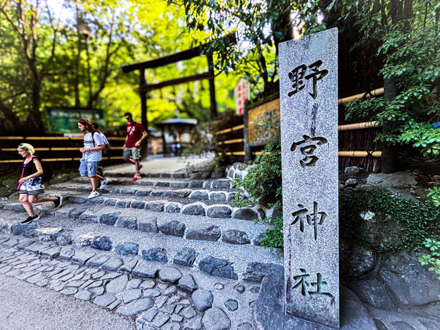 【京都：嵐山】恋愛スポット野宮神社で恋愛・子宝祈願！