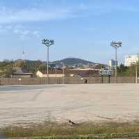 서울 용산 가볼만한 데이트 코스 추천 ▪️용산가족공원