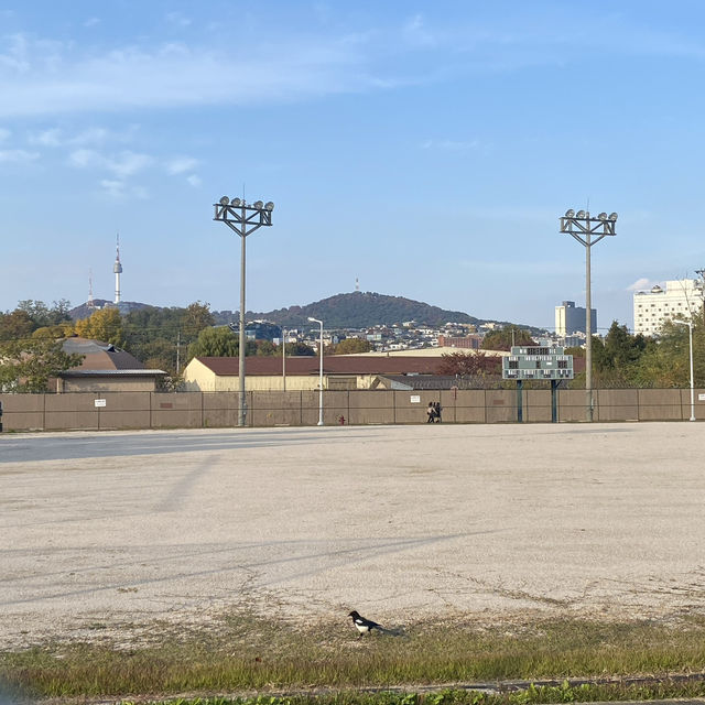서울 용산 가볼만한 데이트 코스 추천 ▪️용산가족공원