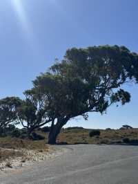 Rottnest Island Cycling Guide