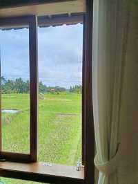 The School of Unified Healing in Ubud - a secret healing refuge for everyone