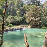 From Peaks to Pools: The Continued Kuang Si Adventure
