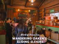  🛷❄️ Wandering Oaken’s Sliding Sleighs