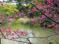 新竹公園