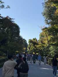 「金閣寺｜黄金に輝く京都の世界遺産・鹿苑寺」