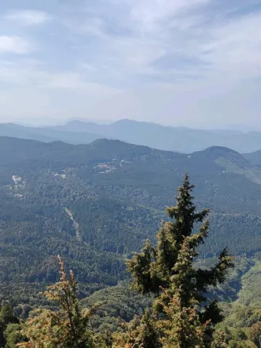 阿里山大塔山與眠月線