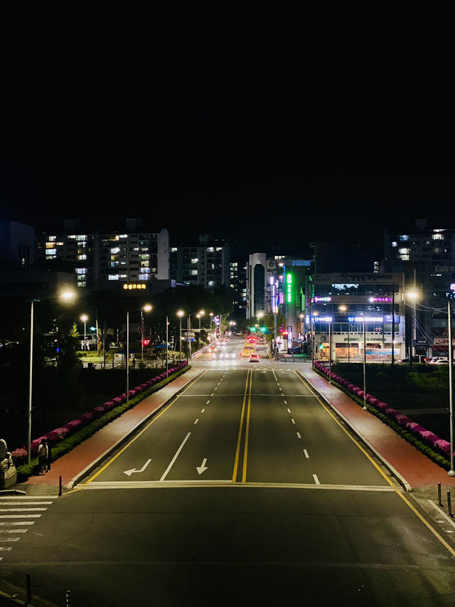 spring has come to Daejeon