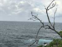 Bondi to Coogee Walk: Sydney’s Most Iconic Coastal Trail