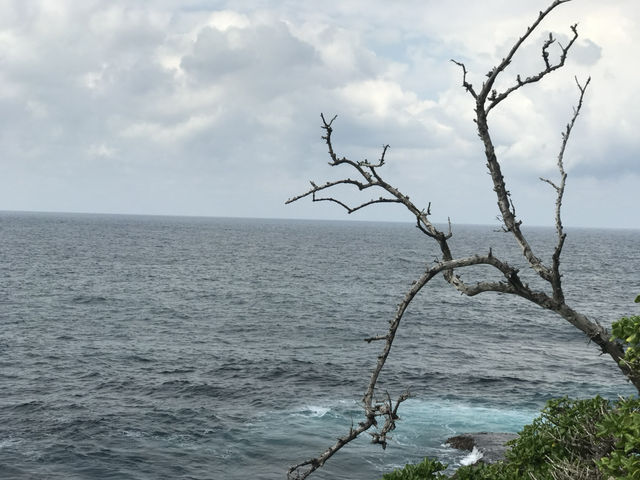 Bondi to Coogee Walk: Sydney’s Most Iconic Coastal Trail