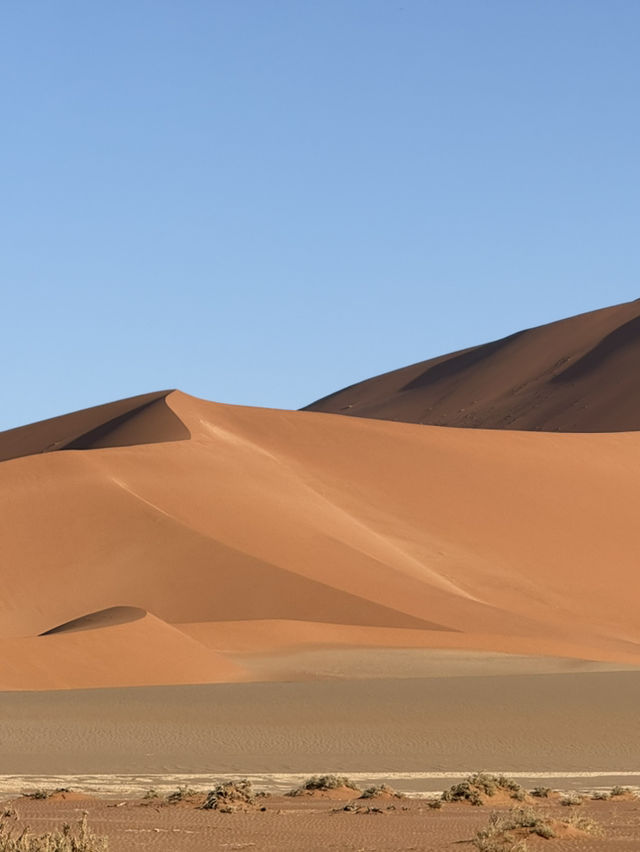 비현실적 엽서 풍경🏜️ 나미비아 데드블레이