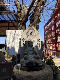 尾道｜纜車從頭頂經過的1200年古寺 中國三十三觀音第十番札所