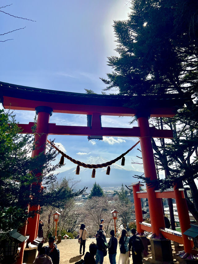 河口湖一日遊