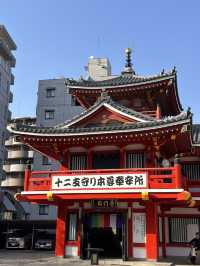 🇯🇵名古屋櫻花配上紅紅的寺廟🌸