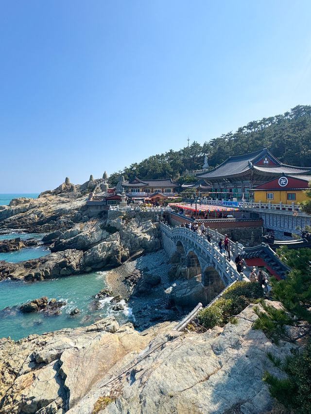 부산여행에서만 만날 수 있는 한국의 멋! “해동용궁사”🤍