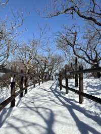 南韓 德裕山國家公園