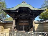 靜謐之美：探訪京都高台寺的歷史與風情