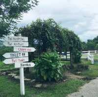 【タイ】のんびり癒される山岳の町！パーイ🏞️✨