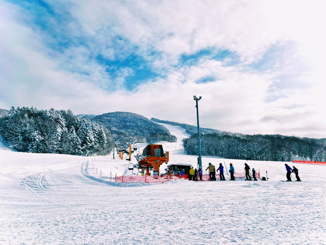 【極上パウダー】コスパ最強！カムイスキーリンクスで大満足❄️