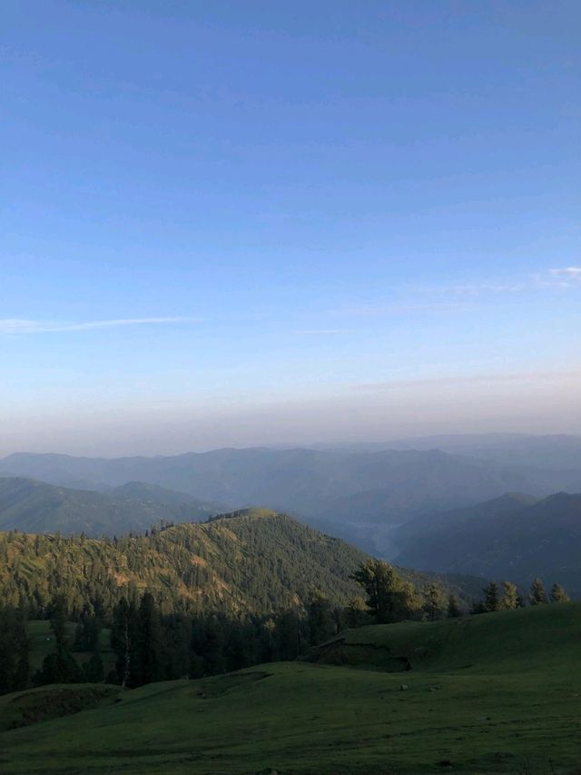 🙏 "Finding peace in petals and mountain peaks"