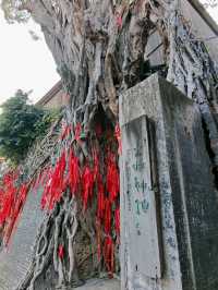 Exploring Timeless Craftsmanship at Nanfeng Kiln: A Journey Through History and Art