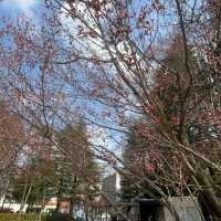 錦町公園