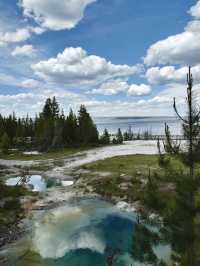Yellowstone 🌏 🌱 