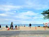서울에서 가장 가까운 동해바다!🏖