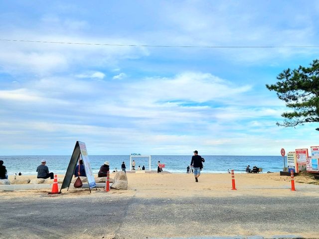 서울에서 가장 가까운 동해바다!🏖