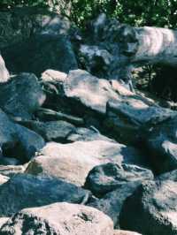 Milford Sound: A Sustainable Journey into New Zealand’s Natural Wonder