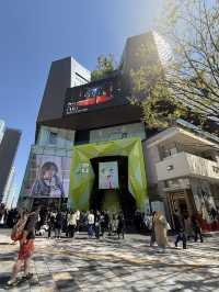Spring Stroll in Blooming Omotesando🌷