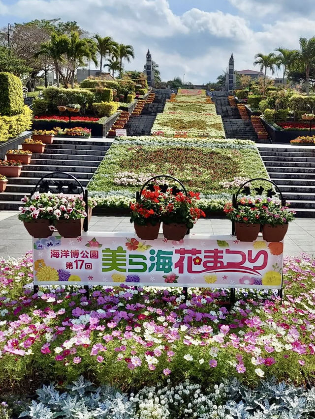 Blooming Beauty at Ocean Expo Park