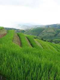 สายหมอกจางๆ ณ บ้านระเบียงนา 🌾