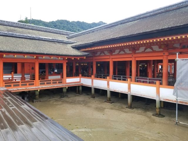 [🇯🇵広島] 厳島神社の美しい建築と歴史を巡る