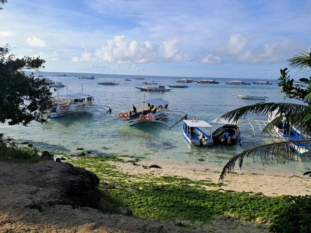 #alona beach
