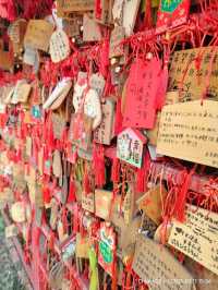 แวะเชคอินHinoki Village หมู่บ้านญี่ปุ่นที่ Chiayi 