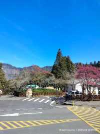 เตรียมตัวไป Alishan สายธรรมชาติห้ามพลาด ep.1