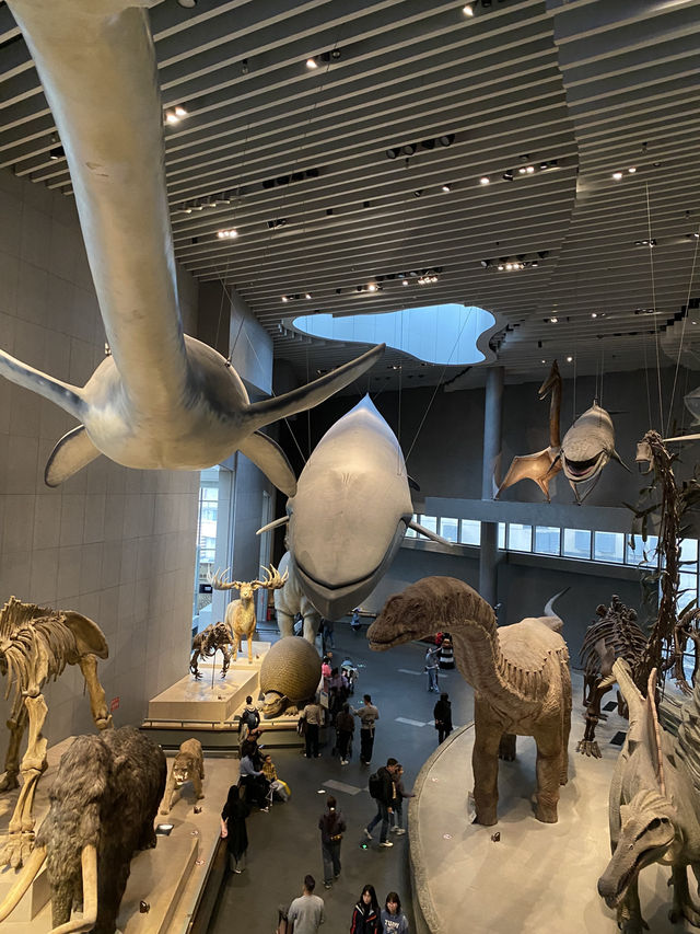 พาทัวร์ 📍Shanghai Natural History Museum