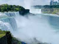 Springtime Splendor at American Falls