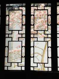 A Floral Pilgrimage to Suzhou's Couple's Retreat Garden in March