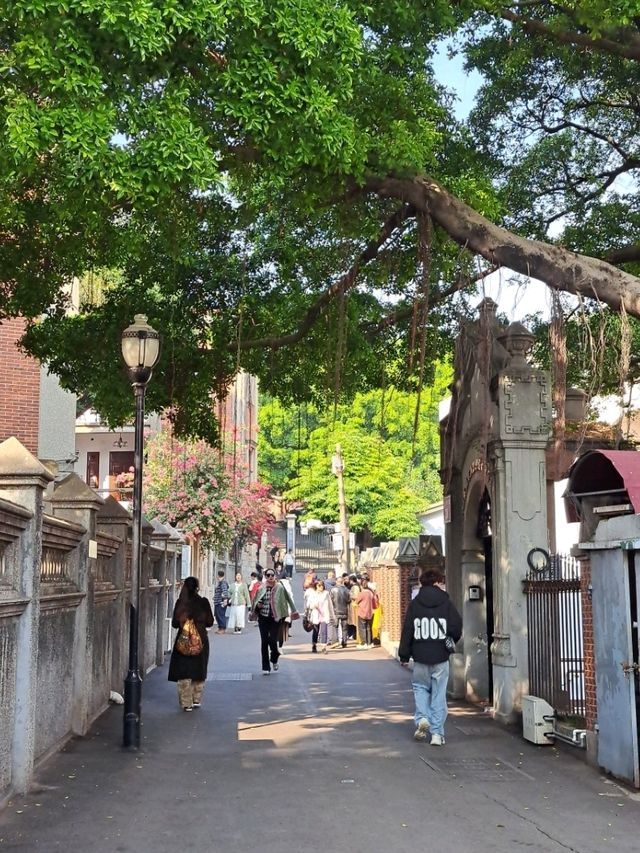 겨울이 실감 안 나는 따뜻한 섬, 구랑위 거리 풍경