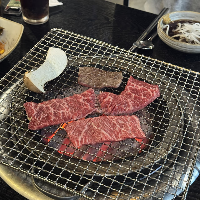 신사동 소갈비 맛집 오늘잡은안동갈비