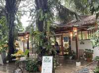 คาเฟ่กลางสวนป่าไม้หอมกฤษณา 🌿🍃 มีสุขฟาร์ม 🌿🍃