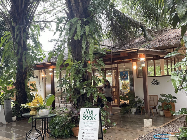 คาเฟ่กลางสวนป่าไม้หอมกฤษณา 🌿🍃 มีสุขฟาร์ม 🌿🍃
