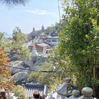海東龍宮寺｜釜山最美海岸寺廟