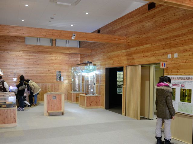 【氷の下の世界に感動！北の大地の水族館で北海道の自然を体感】